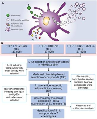 A Triple High Throughput Screening for Extracellular Vesicle Inducing Agents With Immunostimulatory Activity